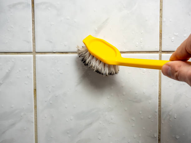 Best Mold Damage Repair  in Bakerstown, PA