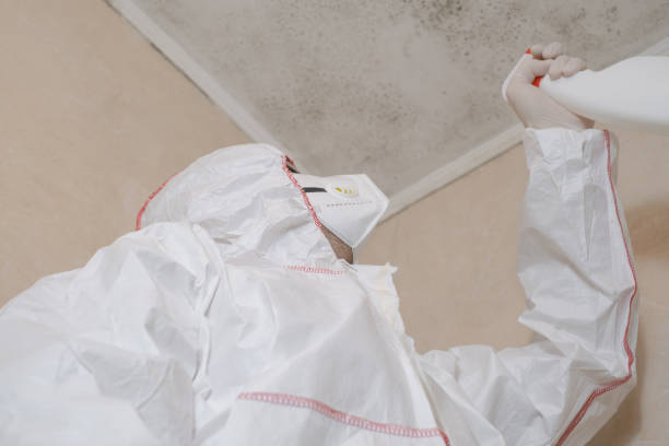 Best Office Mold Removal Services  in Bakerstown, PA