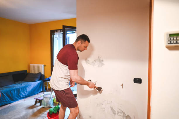 Best Fast Mold Removal  in Bakerstown, PA